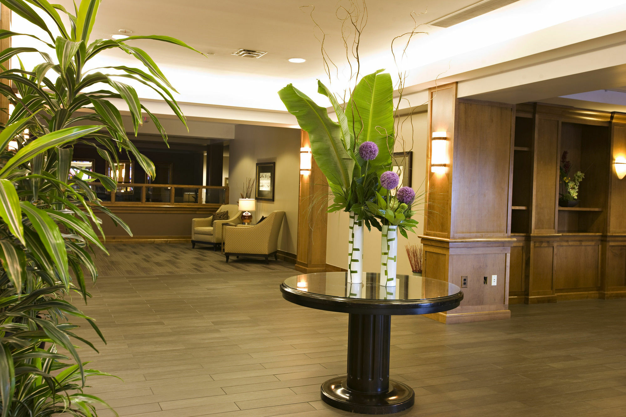 Hotel Country Club Plaza 3*